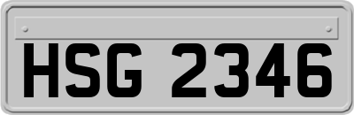 HSG2346