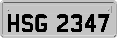 HSG2347