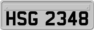HSG2348