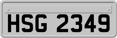 HSG2349