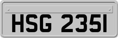 HSG2351