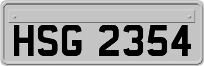 HSG2354