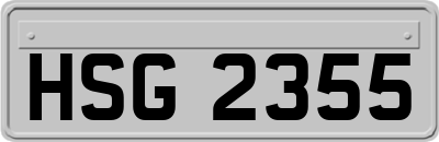 HSG2355