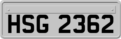 HSG2362