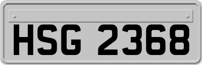 HSG2368