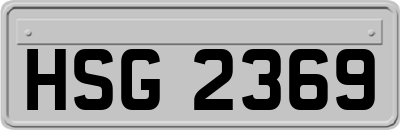 HSG2369