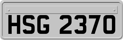 HSG2370