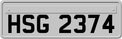 HSG2374
