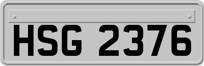 HSG2376