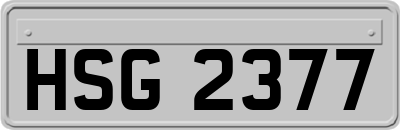 HSG2377