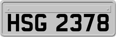 HSG2378