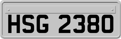 HSG2380