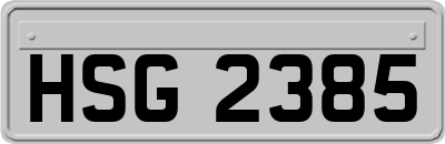 HSG2385