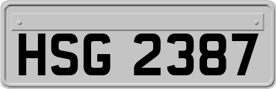 HSG2387