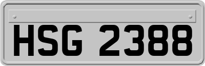 HSG2388