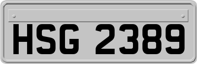 HSG2389