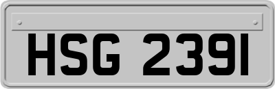 HSG2391