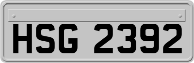 HSG2392