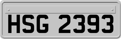 HSG2393