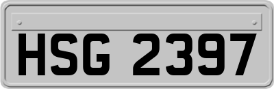HSG2397