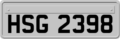 HSG2398