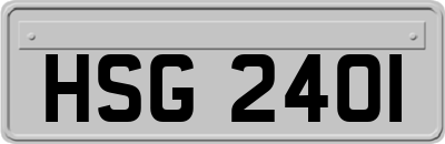 HSG2401