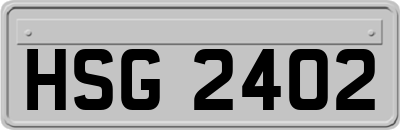 HSG2402