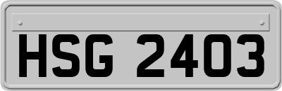 HSG2403