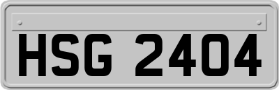 HSG2404