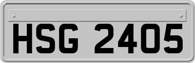 HSG2405