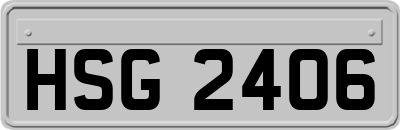 HSG2406