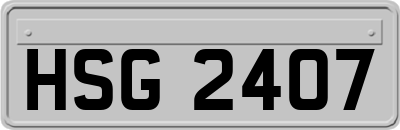 HSG2407