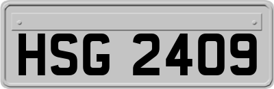 HSG2409