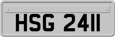 HSG2411