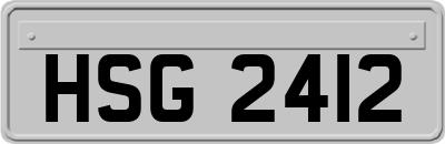 HSG2412
