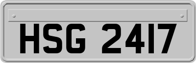 HSG2417