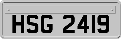 HSG2419