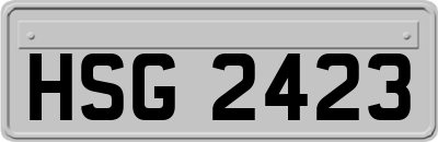 HSG2423