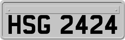 HSG2424