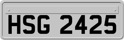 HSG2425