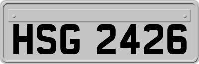 HSG2426