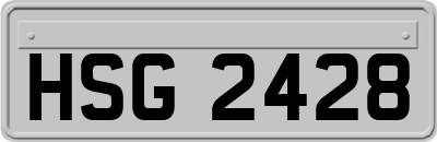 HSG2428