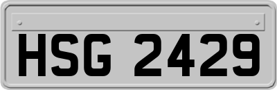 HSG2429