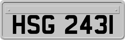 HSG2431