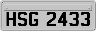 HSG2433