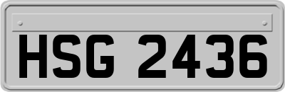 HSG2436