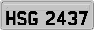 HSG2437