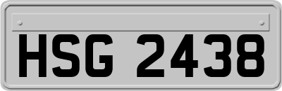 HSG2438
