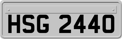 HSG2440