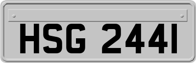 HSG2441
